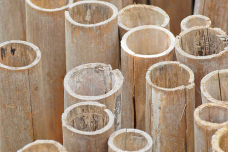 Bamboo Textureの写真素材