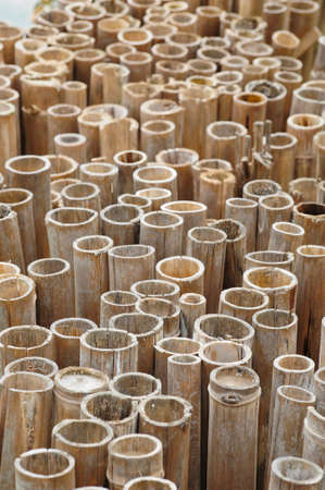 Bamboo Textureの写真素材