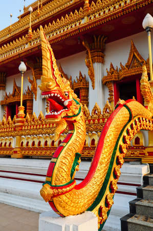 Thai dragon or king of Nagaの写真素材