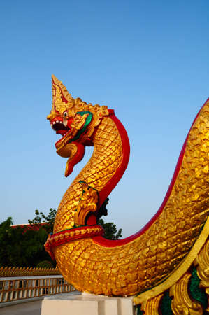 Thai dragon or king of Nagaの写真素材