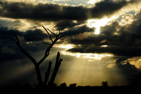 sunrise