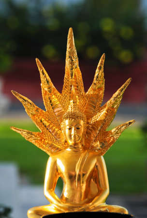 Statue of Buddhaの写真素材