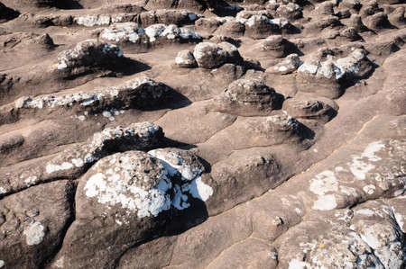 Rocky ground button that occurs naturally