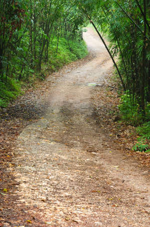 country road