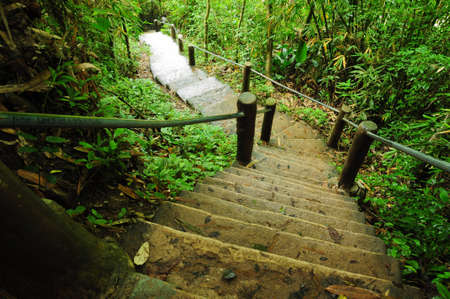 stone stair on nature parkの写真素材