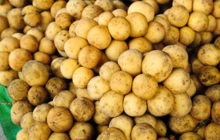 Tropical Thai fruit, Long kongの写真素材