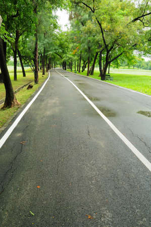 road and gardenの写真素材