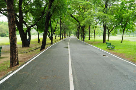 road and gardenの写真素材