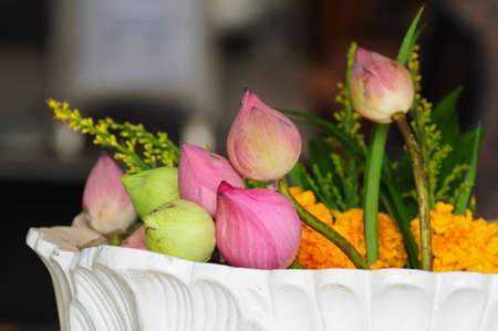 flower for Buddhist religious ceremonyの写真素材
