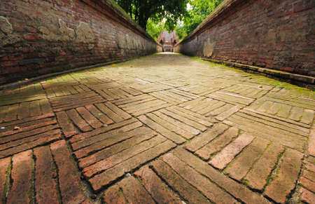 walkway to the temple in thailand
