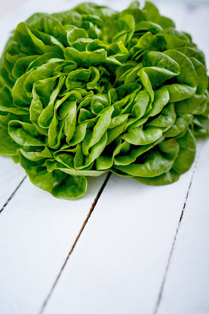 fresh green and healthy lettuce on an old white wooden tableの写真素材