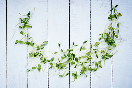 fresh and healthy green sunflower sprouts on an old white wooden tableの写真素材