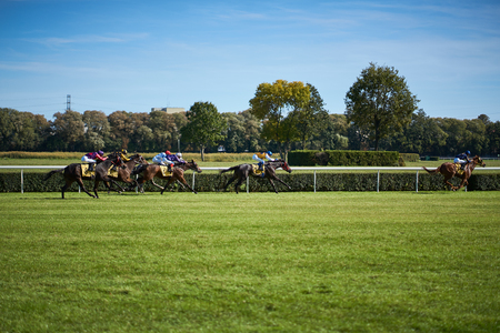 Riding horses on horse races against background of sunny skyの写真素材