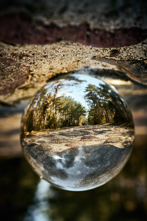 Upside down landscape of beautiful sunny forestの写真素材