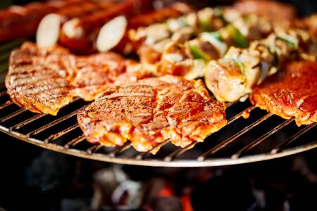 Different types of juicy meats on hot coals on the grill in gardenの写真素材