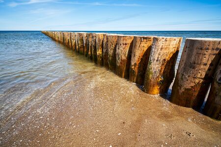 wooden piles overgrown with seaweed in the seaの写真素材