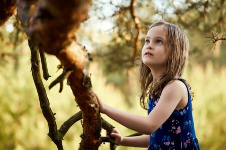 two girls in summer dresses are climbing a tree in the forestの写真素材