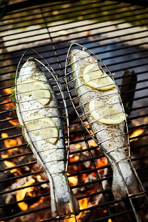 delicious trout with spices roast on a grill over a fireの写真素材