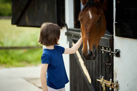 Little girl strokes a beautiful horse in the barnの写真素材