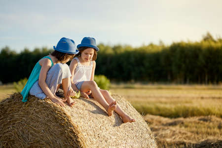 two charming girls are sitting on a roll of mown rye in a fieldの写真素材