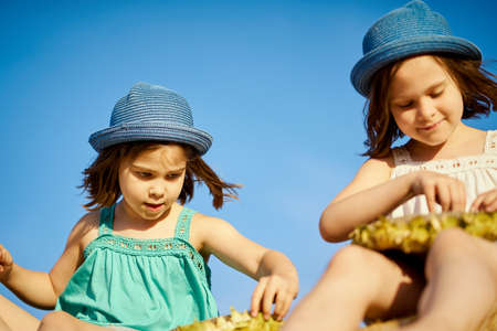two charming girls are eating sunflower seeds on mown rye in the fieldの写真素材