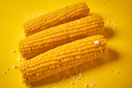 delicious boiled sweet corn on yellow backgroundの写真素材