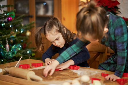 two cute sisters make and decorate Christmas gingerbread cookiesの写真素材
