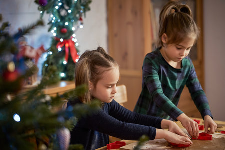 two cute sisters make and decorate Christmas gingerbread cookiesの写真素材