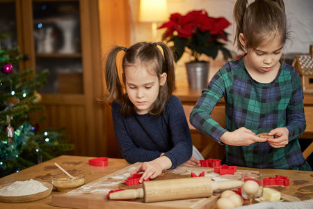 two cute sisters make and decorate Christmas gingerbread cookiesの写真素材