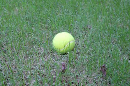 Tennis ballの写真素材