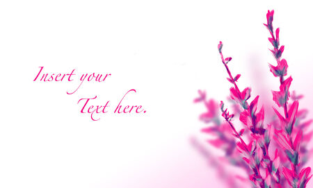 abstract - flower - invitation - template - card - illustrationの写真素材