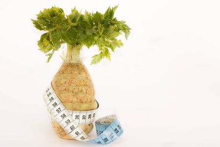 Organic celery for healthy diet and loosing weight