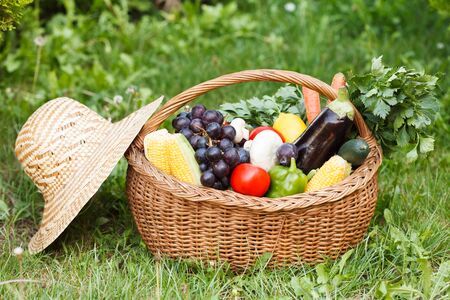 Composition with hat and vegetables and fruits in wicker basket on the grassの写真素材