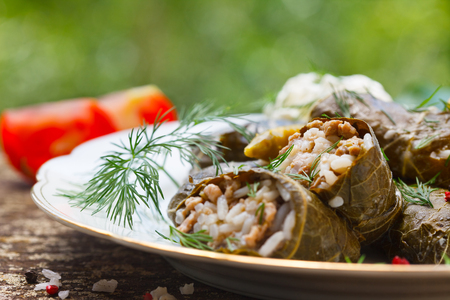 Stuffed Grape Leaves. Dolma. Azerbaijan, Turkish and Greek Cuisineの写真素材