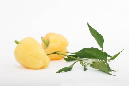 Fresh bell peppers with leaves and flowers isolated on white background. Organic peppers, healthy vegetable.の写真素材