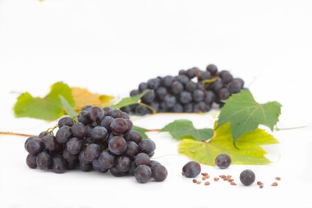 Red or blue grapes with leaves isolated on white background. Bunch of fresh ripe juicy grapes.の写真素材