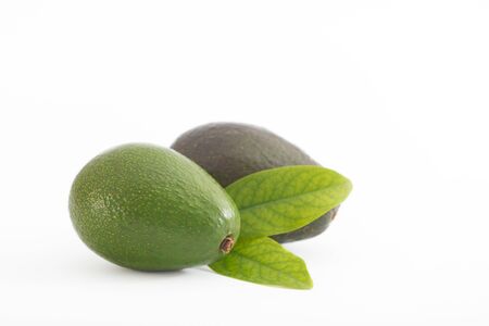 Avocado with leaves isolated on white background. Ripe, nutritious avocados full of vitamins and...