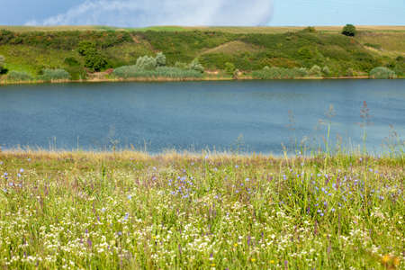 Rural landscape with a small blue river and meadow with grasses and wild flowers.