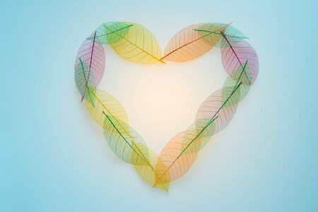 Heart shaped color leaves transparent texture