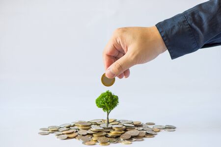 Coin growth of trees, hand holding a coinの写真素材