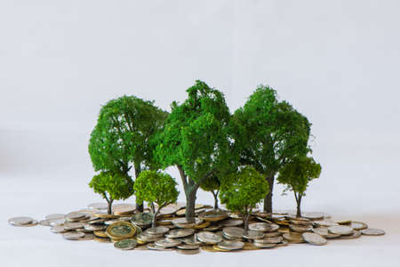 Coin with growing tree