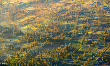 mountains landscape