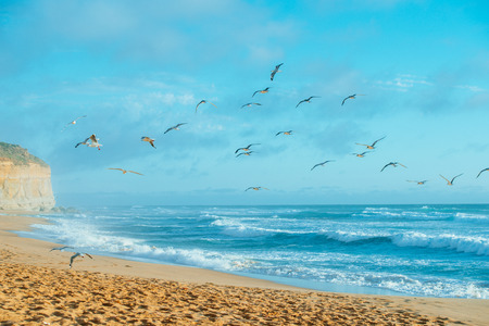 The Great Ocean Road, Victoria, Australiaの写真素材
