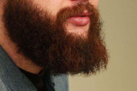 groomed mens beard - hair on the head, responsible for the experience
