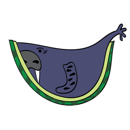 Atlantic walrus - watermelon, vector illustrationのイラスト素材