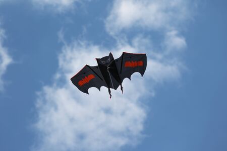 kite in the sky in the form of a batの写真素材