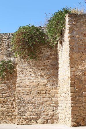 Old fortress in Alcudia, Mallorcaの写真素材