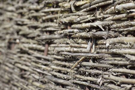 fragment of fence plexus branches in the villageの写真素材