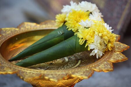 Bright colorful multicolored flowers, Thailand, Southeast Asiaの写真素材