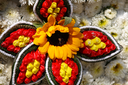 Bright colorful multicolored flowers, Thailand, Southeast Asiaの写真素材